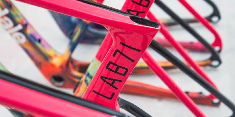cannondale
